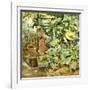 Among Pumpkin Plants-Francesco Vinea-Framed Giclee Print