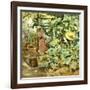 Among Pumpkin Plants-Francesco Vinea-Framed Giclee Print