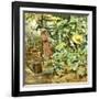 Among Pumpkin Plants-Francesco Vinea-Framed Giclee Print