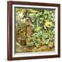 Among Pumpkin Plants-Francesco Vinea-Framed Giclee Print