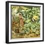 Among Pumpkin Plants-Francesco Vinea-Framed Giclee Print