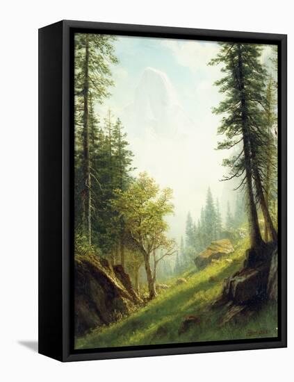 Among the Bernese Alps-Albert Bierstadt-Framed Stretched Canvas