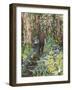 Among the Bluebells-Kirstie Adamson-Framed Giclee Print