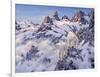 Among the Clouds - Mtn. Goat-Jeff Tift-Framed Giclee Print