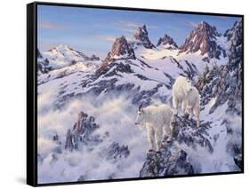 Among the Clouds - Mtn. Goat-Jeff Tift-Framed Stretched Canvas