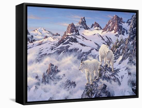 Among the Clouds - Mtn. Goat-Jeff Tift-Framed Stretched Canvas