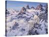 Among the Clouds - Mtn. Goat-Jeff Tift-Stretched Canvas