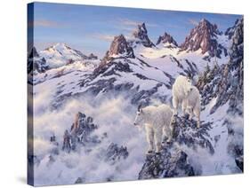 Among the Clouds - Mtn. Goat-Jeff Tift-Stretched Canvas