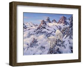 Among the Clouds - Mtn. Goat-Jeff Tift-Framed Giclee Print