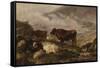 Among the Cumberland Mountains - Mist Clearing Off-Thomas Sidney Cooper-Framed Stretched Canvas