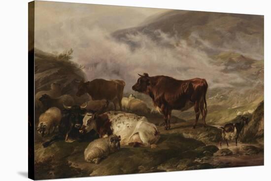 Among the Cumberland Mountains - Mist Clearing Off-Thomas Sidney Cooper-Stretched Canvas