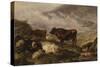Among the Cumberland Mountains - Mist Clearing Off-Thomas Sidney Cooper-Stretched Canvas
