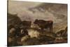 Among the Cumberland Mountains - Mist Clearing Off-Thomas Sidney Cooper-Stretched Canvas