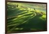 Among the Cypresses-Marcin Sobas-Framed Photographic Print