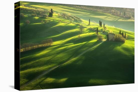 Among the Cypresses-Marcin Sobas-Stretched Canvas