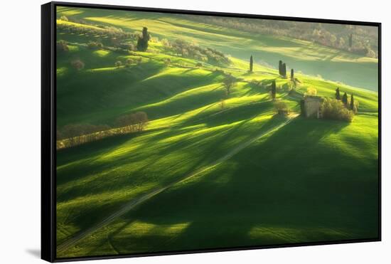 Among the Cypresses-Marcin Sobas-Framed Stretched Canvas