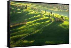 Among the Cypresses-Marcin Sobas-Framed Stretched Canvas