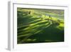 Among the Cypresses-Marcin Sobas-Framed Photographic Print