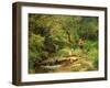 Among the Greenery-Olga Wisinger-Florian-Framed Giclee Print