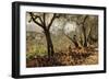 Among the Olive Trees, Settignano-Signorini Telemaco-Framed Giclee Print