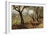 Among the Olive Trees, Settignano-Signorini Telemaco-Framed Giclee Print