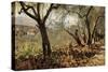 Among the Olive Trees, Settignano-Signorini Telemaco-Stretched Canvas