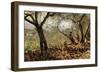 Among the Olive Trees-Telemaco Signorini-Framed Premium Giclee Print