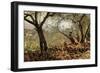 Among the Olive Trees-Telemaco Signorini-Framed Premium Giclee Print