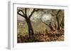 Among the Olive Trees-Telemaco Signorini-Framed Premium Giclee Print