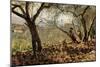 Among the Olive Trees-Telemaco Signorini-Mounted Premium Giclee Print