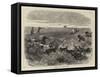 Among the Prairie Hens-Harrison William Weir-Framed Stretched Canvas