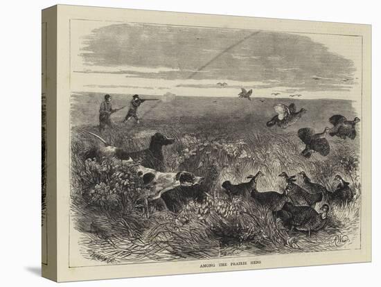 Among the Prairie Hens-Harrison William Weir-Stretched Canvas