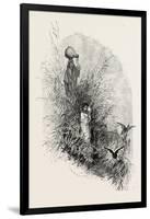 Among the Reeds by the River, Egypt, 1879-null-Framed Giclee Print