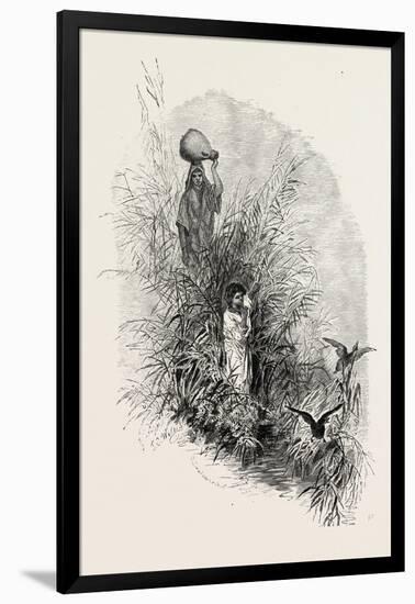 Among the Reeds by the River, Egypt, 1879-null-Framed Giclee Print