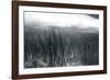 Among The Reeds-Andrew Geiger-Framed Giclee Print