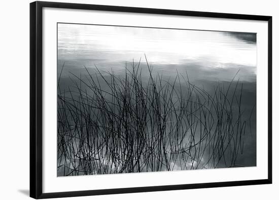 Among The Reeds-Andrew Geiger-Framed Giclee Print