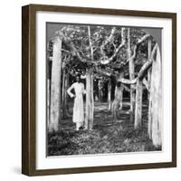 Among the Roots of a Banyan Tree, Calcutta, India, 1900s-Underwood & Underwood-Framed Photographic Print