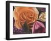 Among the Roses-Walt Johnson-Framed Art Print