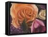 Among the Roses-Walt Johnson-Framed Stretched Canvas