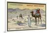 Among the Sand Dunes of Biskra, Algeria-null-Framed Giclee Print