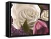 Among the White Roses-Walt Johnson-Framed Stretched Canvas