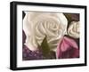 Among the White Roses-Walt Johnson-Framed Art Print