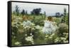 Among the Wildflowers-Charles Courtney Curran-Framed Stretched Canvas