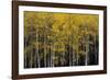 Among Trees-Irene Suchocki-Framed Giclee Print