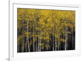 Among Trees-Irene Suchocki-Framed Giclee Print