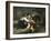 Amongst the Pets-John William Bottomley-Framed Giclee Print