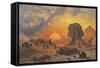 Amongst the Pyramids-Cesare Biseo-Framed Stretched Canvas