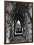 Amongst the Ruins of Tirynth, Greece, 1937-Martin Hurlimann-Framed Giclee Print