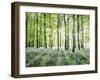 Amongst the Trees-Assaf Frank-Framed Giclee Print