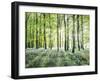 Amongst the Trees-Assaf Frank-Framed Giclee Print